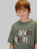 Calvin Klein Color Logo Graphic T-shirt