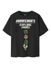 Name It Julio Minecraft Top